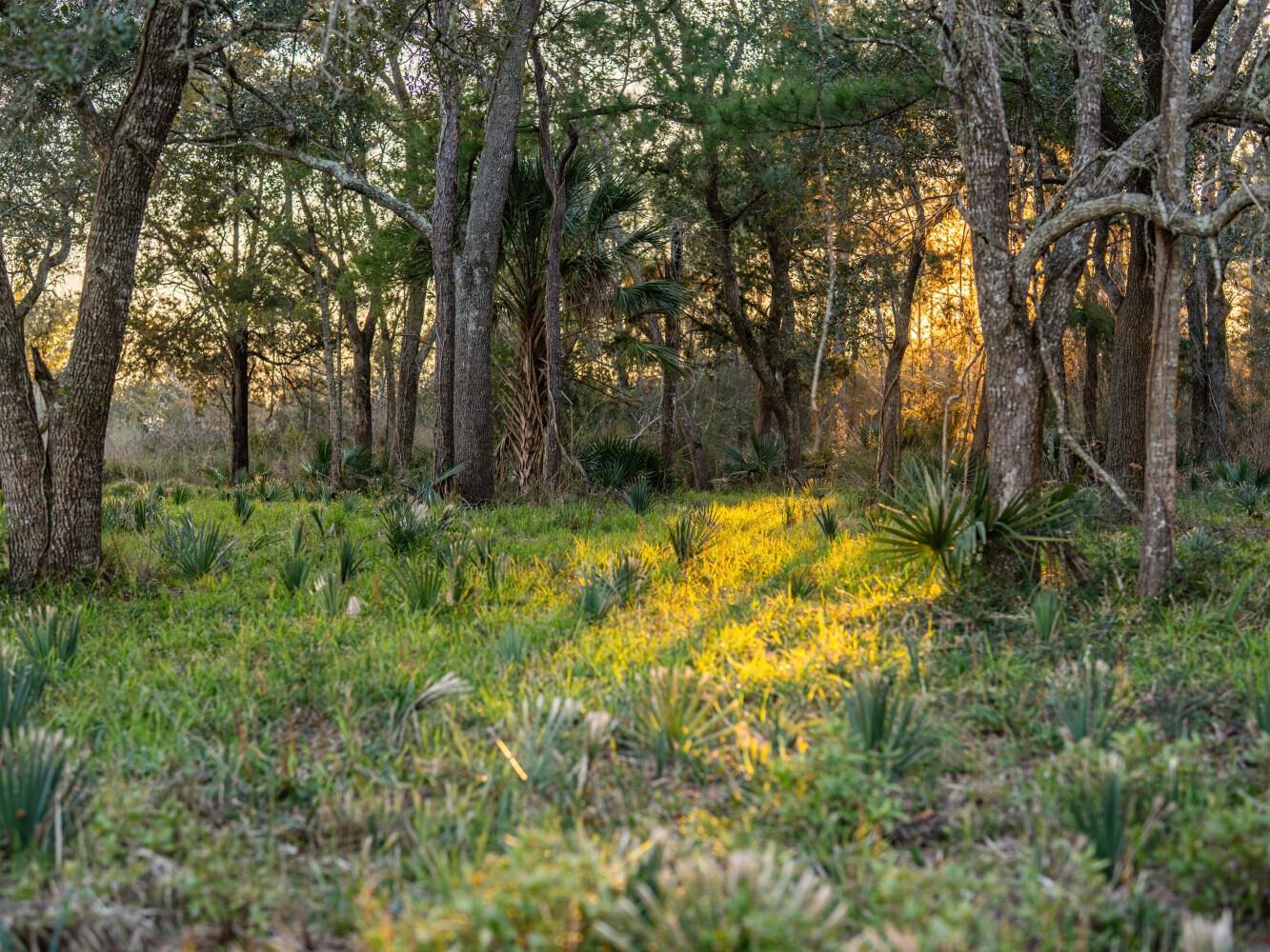 0 Kennedy Road Bon Secour, AL 36511 - Photo 6 of 25