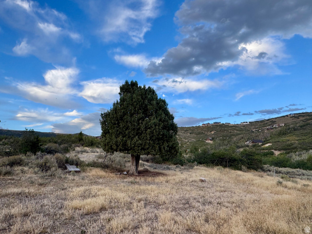1870 South Beaver Bench Road, Unit 1442 Heber City, UT 84032 - Photo 6 of 10 Expansive grassy lot with a mature tree