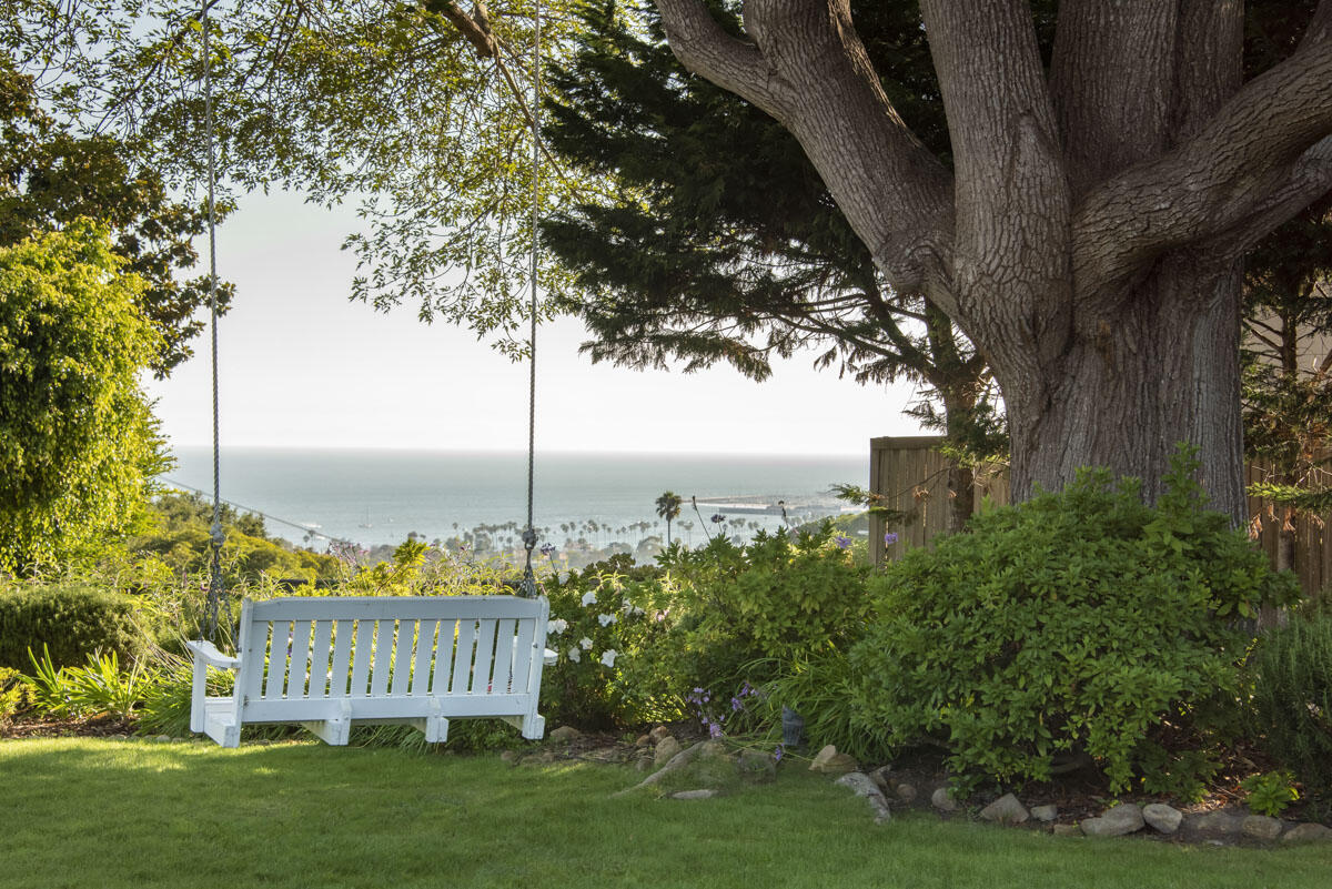 223 Rametto Road Santa Barbara, CA 93108 - Photo 3 of 35 a view of a garden with a tree