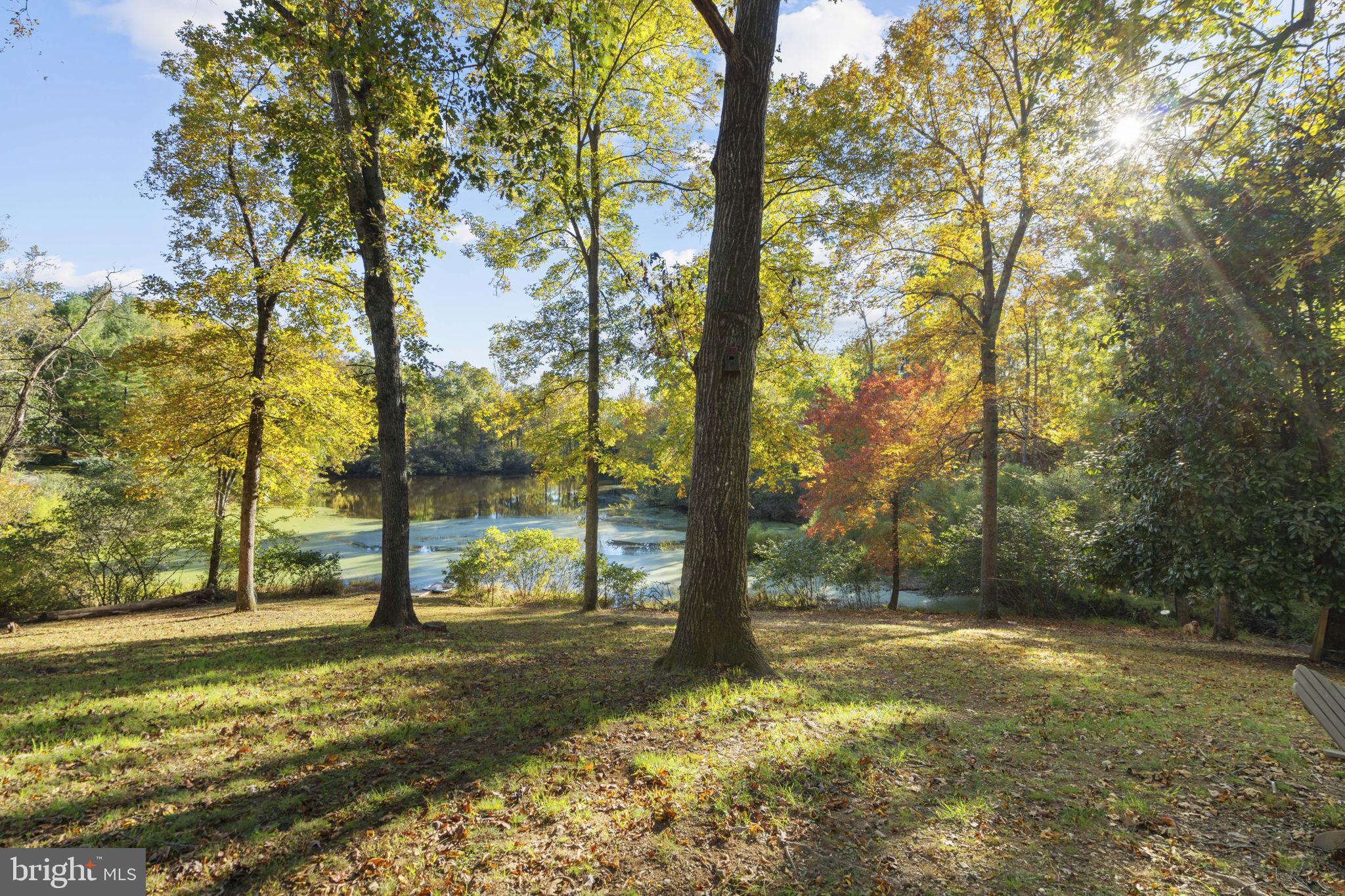10344 River Road Rixeyville, VA 22737 - Photo 7 of 59