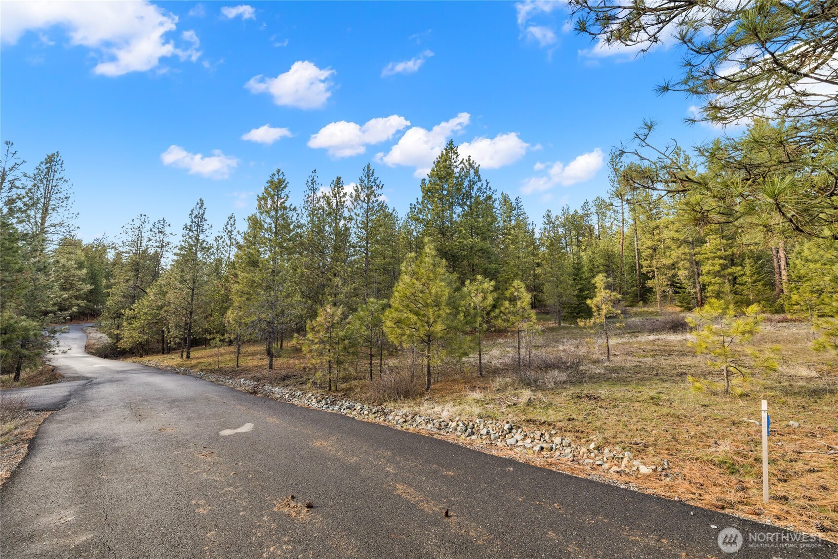 676 Forest Ridge Drive Cle Elum, WA 98922 - Photo 8 of 23 Gallery Image 8