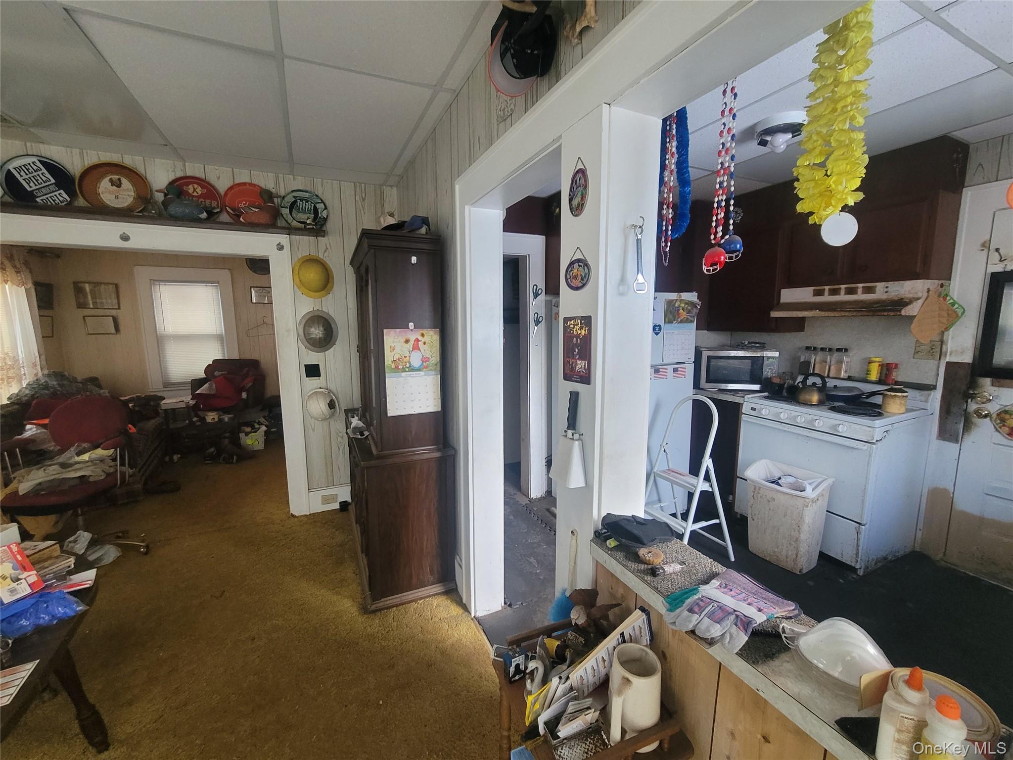 31 South Liberty Road Liberty, NY 12754 - Photo 2 of 8