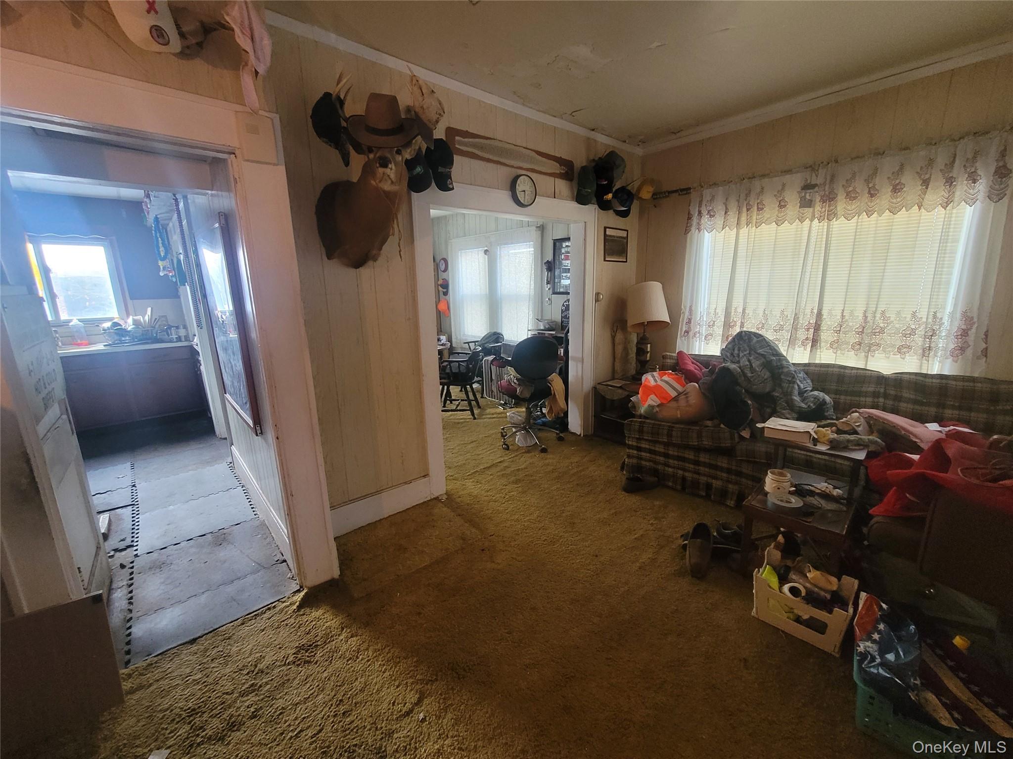 31 South Liberty Road Liberty, NY 12754 - Photo 3 of 8