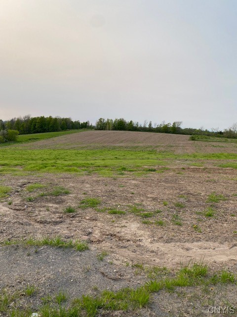 6591 Bryden Road Kirkland, NY 13477 - Photo 6 of 14