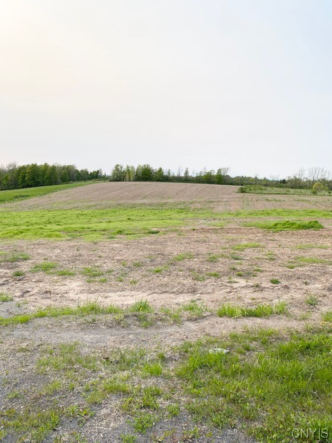 6591 Bryden Road Kirkland, NY 13477 - Photo 9 of 14