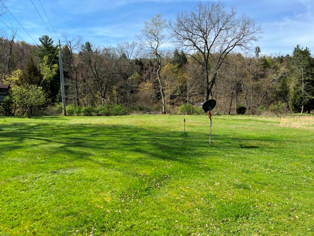 264 Van Road Cranberry, PA 16319 - Photo 3 of 24 a view of a park with large trees