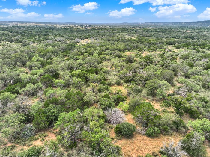 159 Mormon Creek Road Doss, TX 78618 - Photo 13 of 29