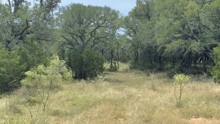 159 Mormon Creek Road Doss, TX 78618 - Photo 15 of 29