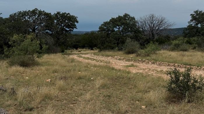 159 Mormon Creek Road Doss, TX 78618 - Photo 20 of 29