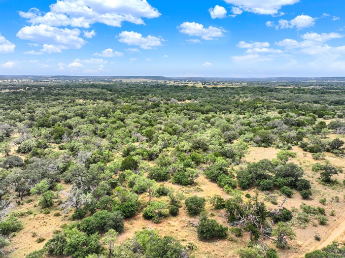159 Mormon Creek Road Doss, TX 78618 - Photo 2 of 29