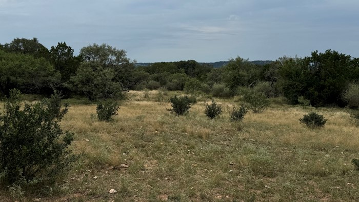 159 Mormon Creek Road Doss, TX 78618 - Photo 21 of 29