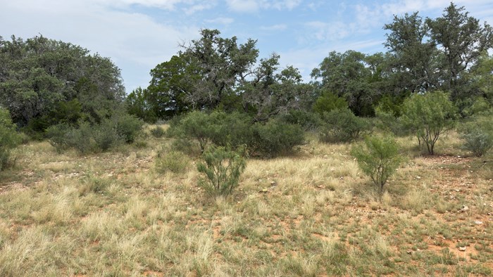 159 Mormon Creek Road Doss, TX 78618 - Photo 25 of 29