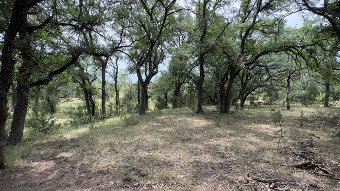 159 Mormon Creek Road Doss, TX 78618 - Photo 7 of 29
