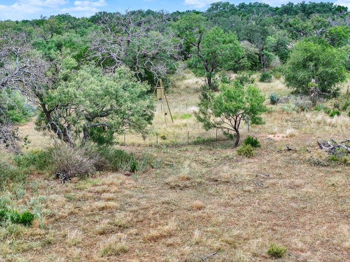 159 Mormon Creek Road Doss, TX 78618 - Photo 8 of 29