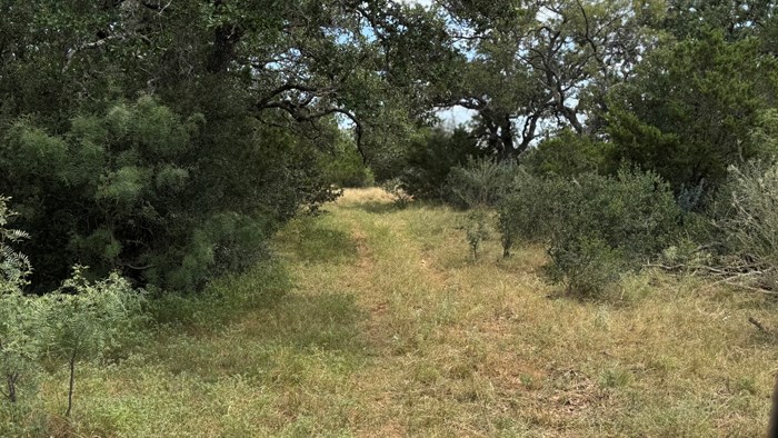 159 Mormon Creek Road Doss, TX 78618 - Photo 9 of 29