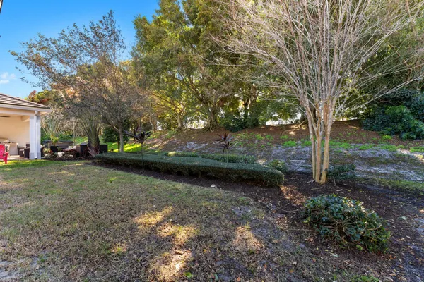 a view of a garden with large trees