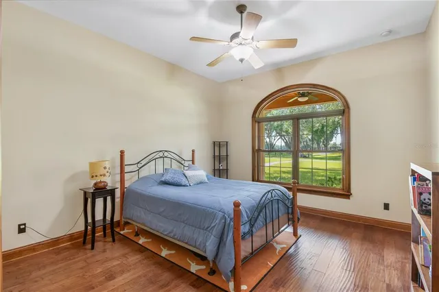 a view of a park with large trees