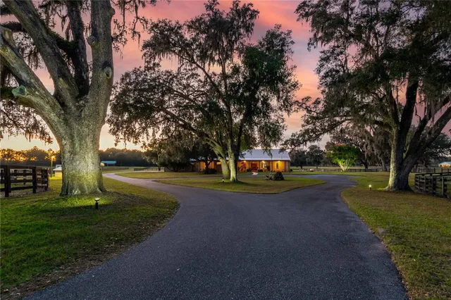 a view of park with large trees
