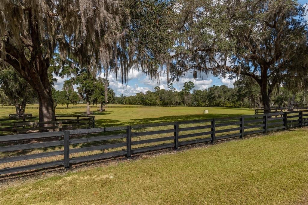 6140 Northwest 145th Avenue Road Morriston, FL 32668 - Photo 34 of 63 a view of outdoor space with trees