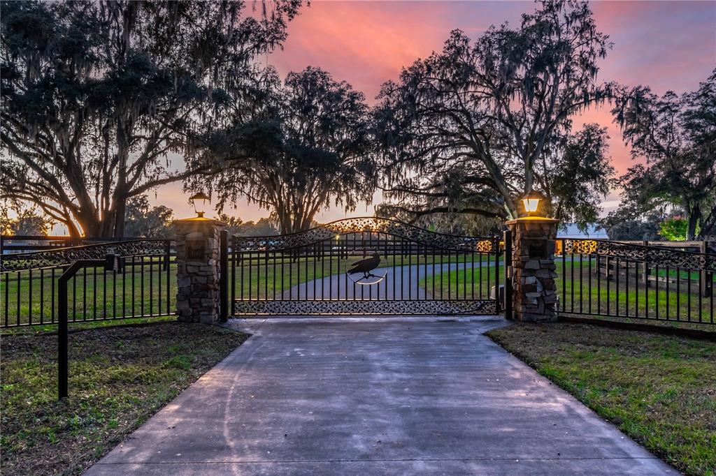 6140 Northwest 145th Avenue Road Morriston, FL 32668 - Photo 4 of 63 a view of a park with a large trees