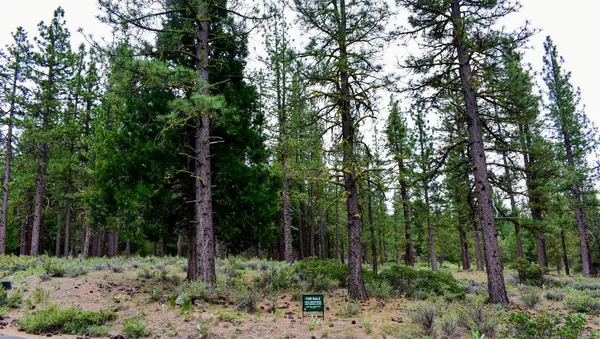 $49,000 | 315 Sun Burst, Clio, CA 96106