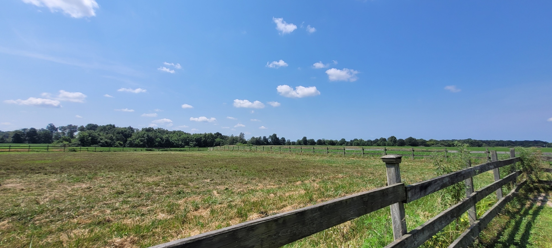 3499 East Snapshot Road Woodlawn, IL 62898 - Photo 2 of 15