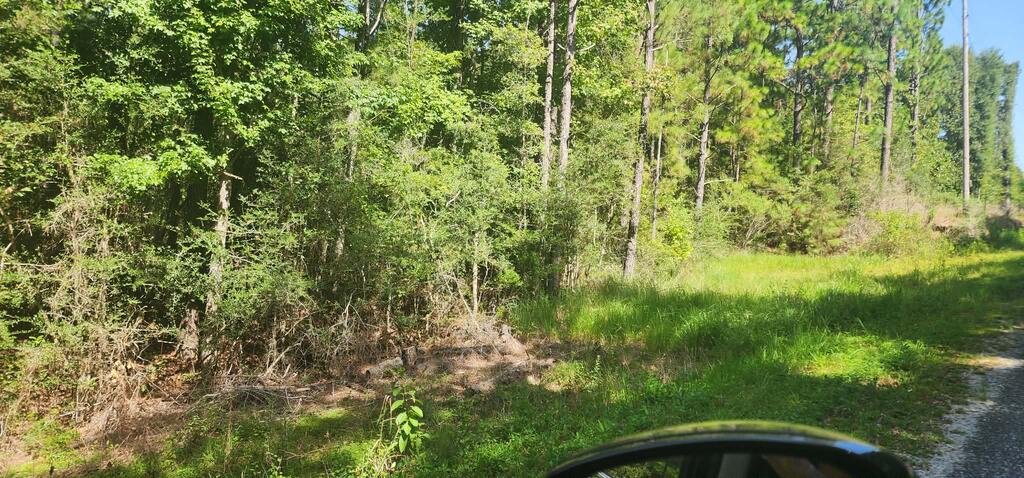 88 Morel Road Poplarville, MS 39470 - Photo 14 of 20 Gallery Image 14