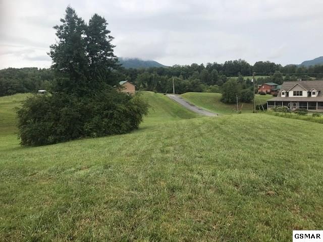 29 Sugar Tree Drive Sevierville, TN 37862 - Photo 11 of 12