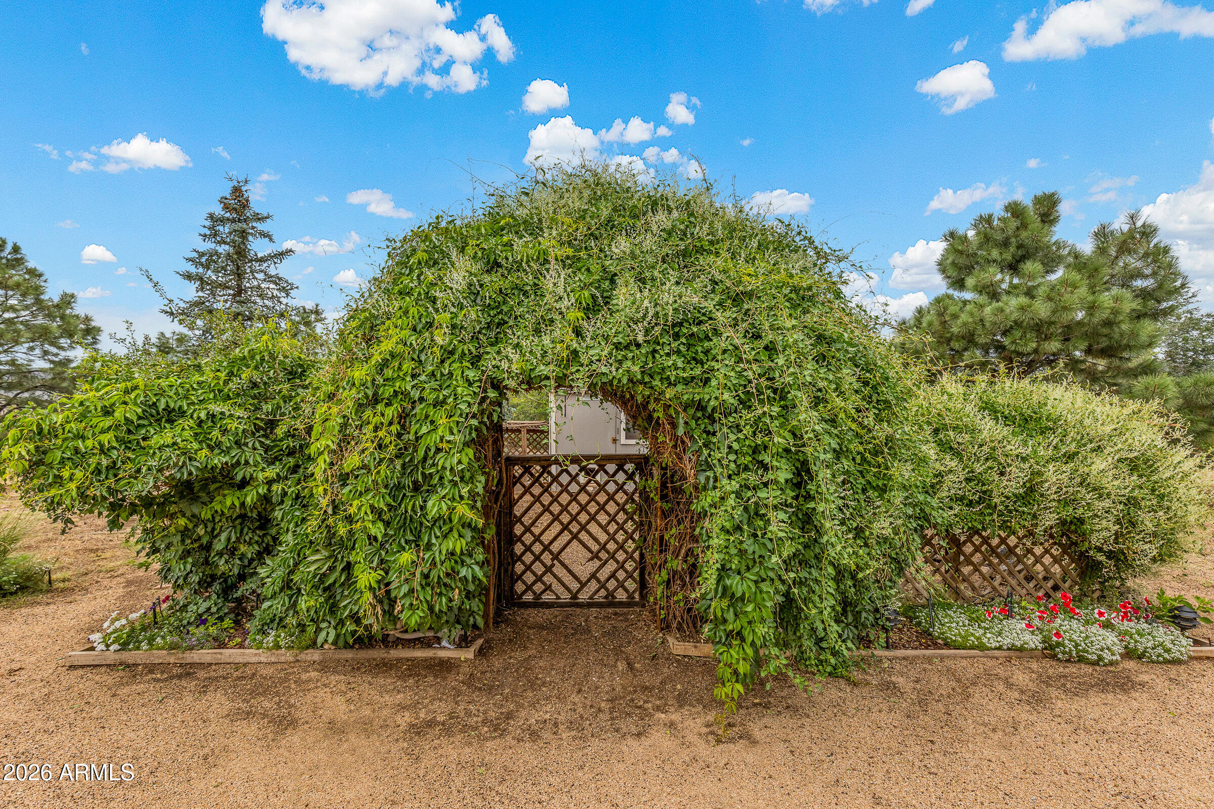 7620 Hutton Ranch Road Flagstaff, AZ 86004 - Photo 23 of 31 Backyard