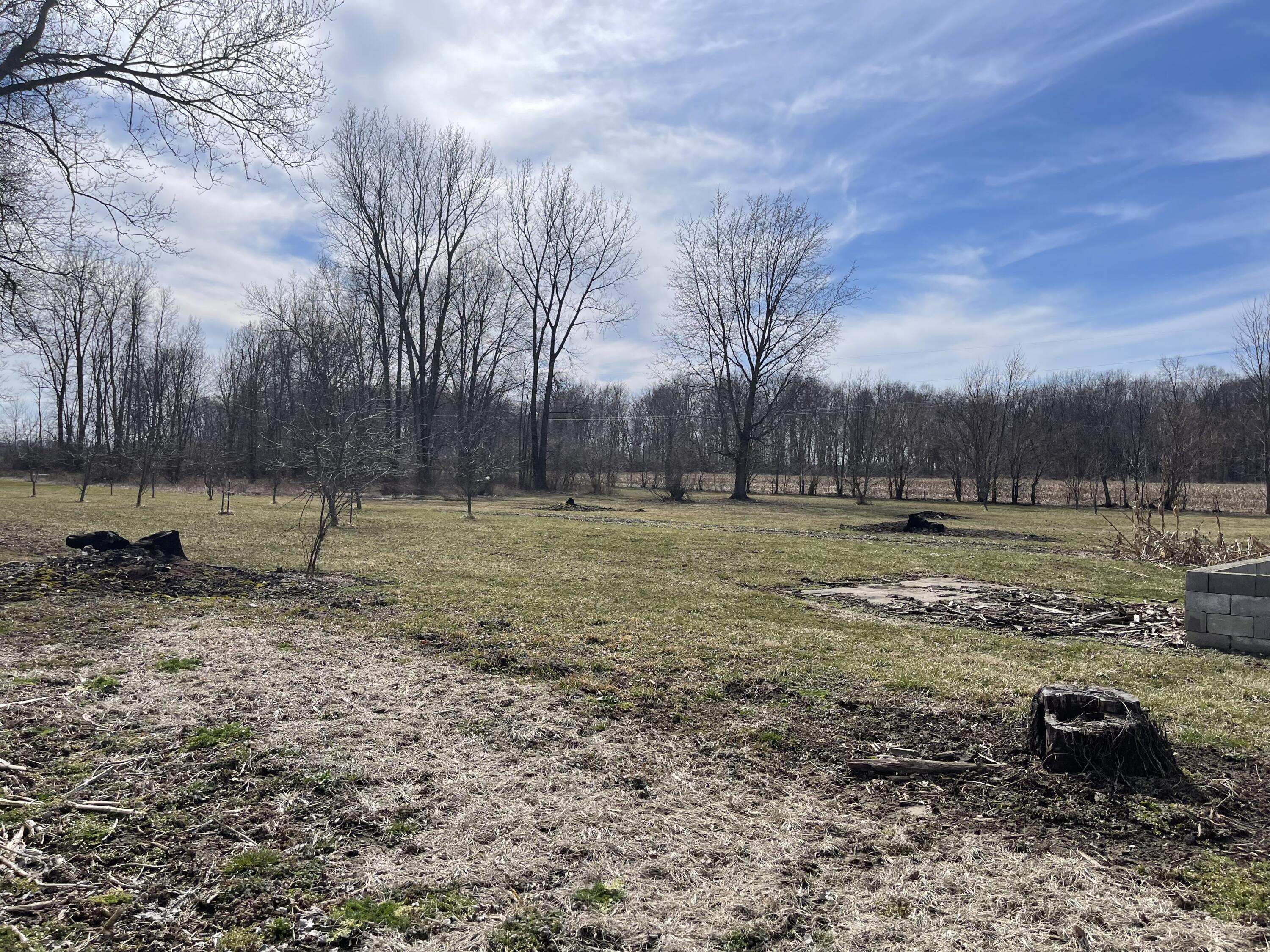 4769 Selma Pike Springfield, OH 45502 - Photo 84 of 93