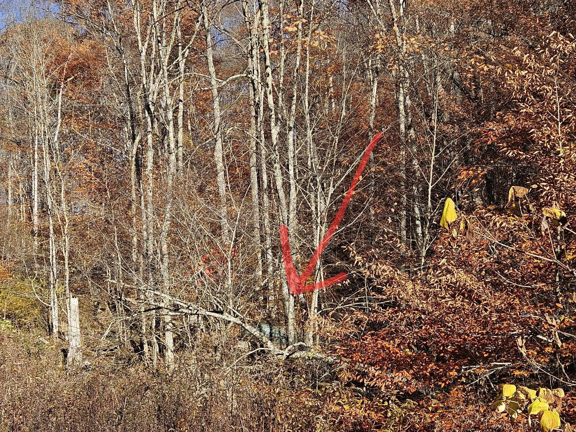 4156 Dry Branch Road Valley Head, WV 26294 - Photo 30 of 34 Gallery Image 30