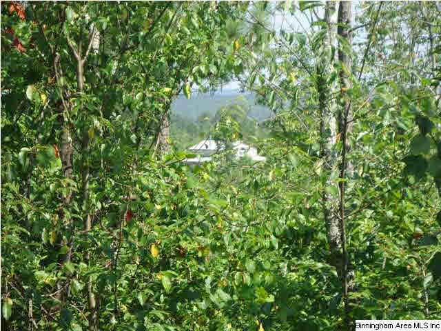 Mayo Road, Unit 96 Altoona, AL 35952 - Photo 10 of 23