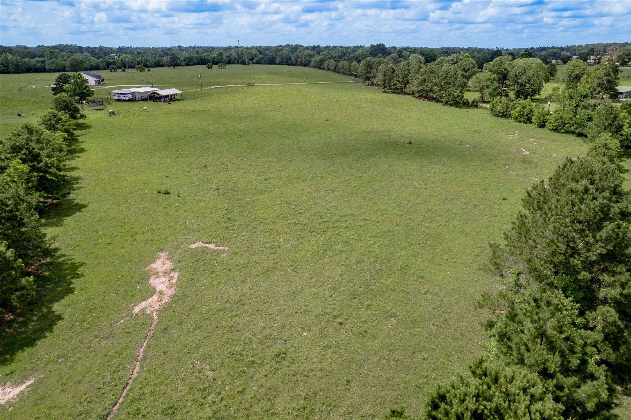 Tbd Turner Street Groveton, TX 75845 - Photo 8 of 10