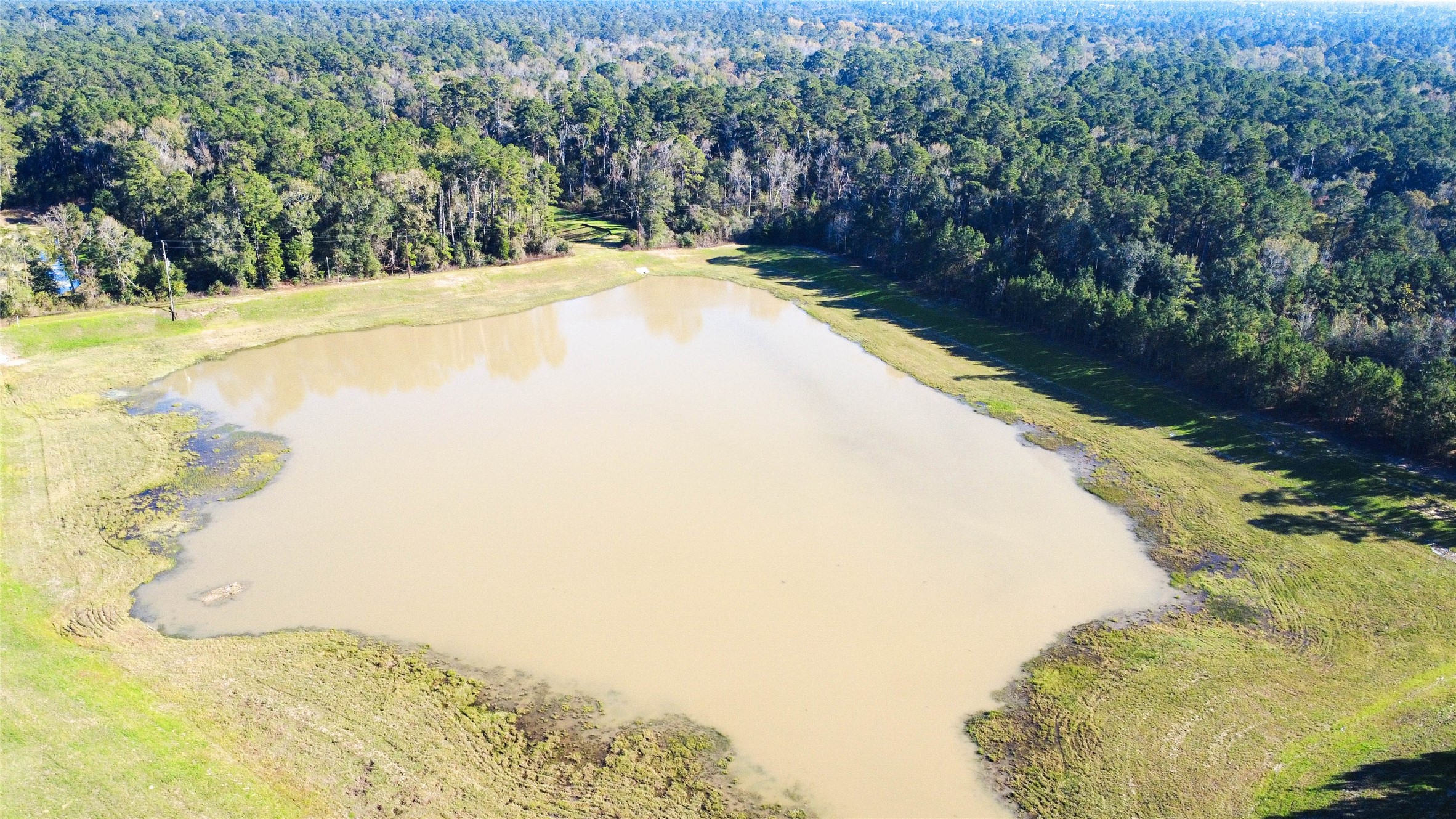 211 Brazen Forest Trail Magnolia, TX 77355 - Photo 14 of 14