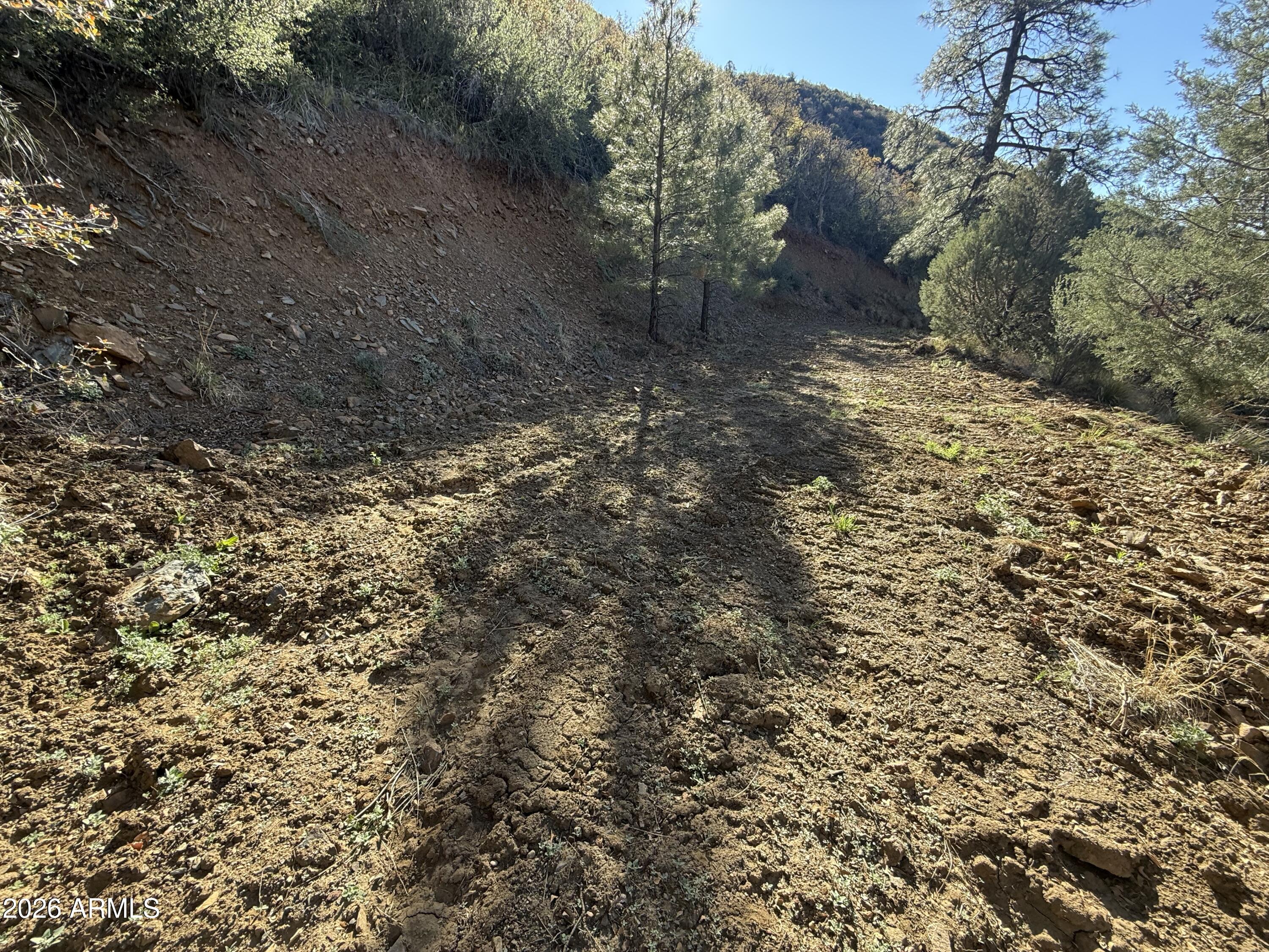 22550 Gladiator Mine Road Crown King, AZ 86343 - Photo 4 of 6