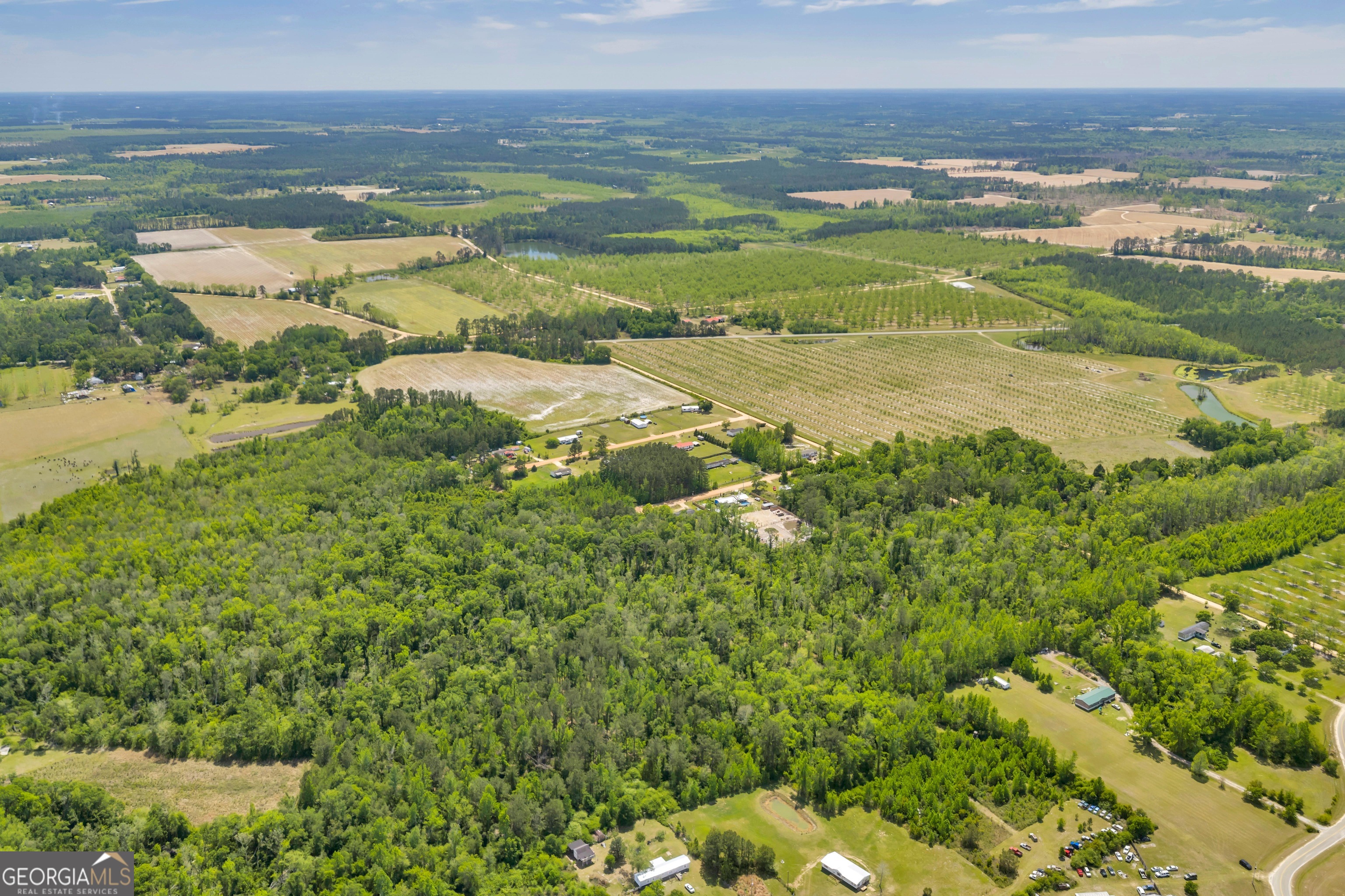 0 Twin Oaks Road Ray City, GA 31645 - Photo 11 of 33