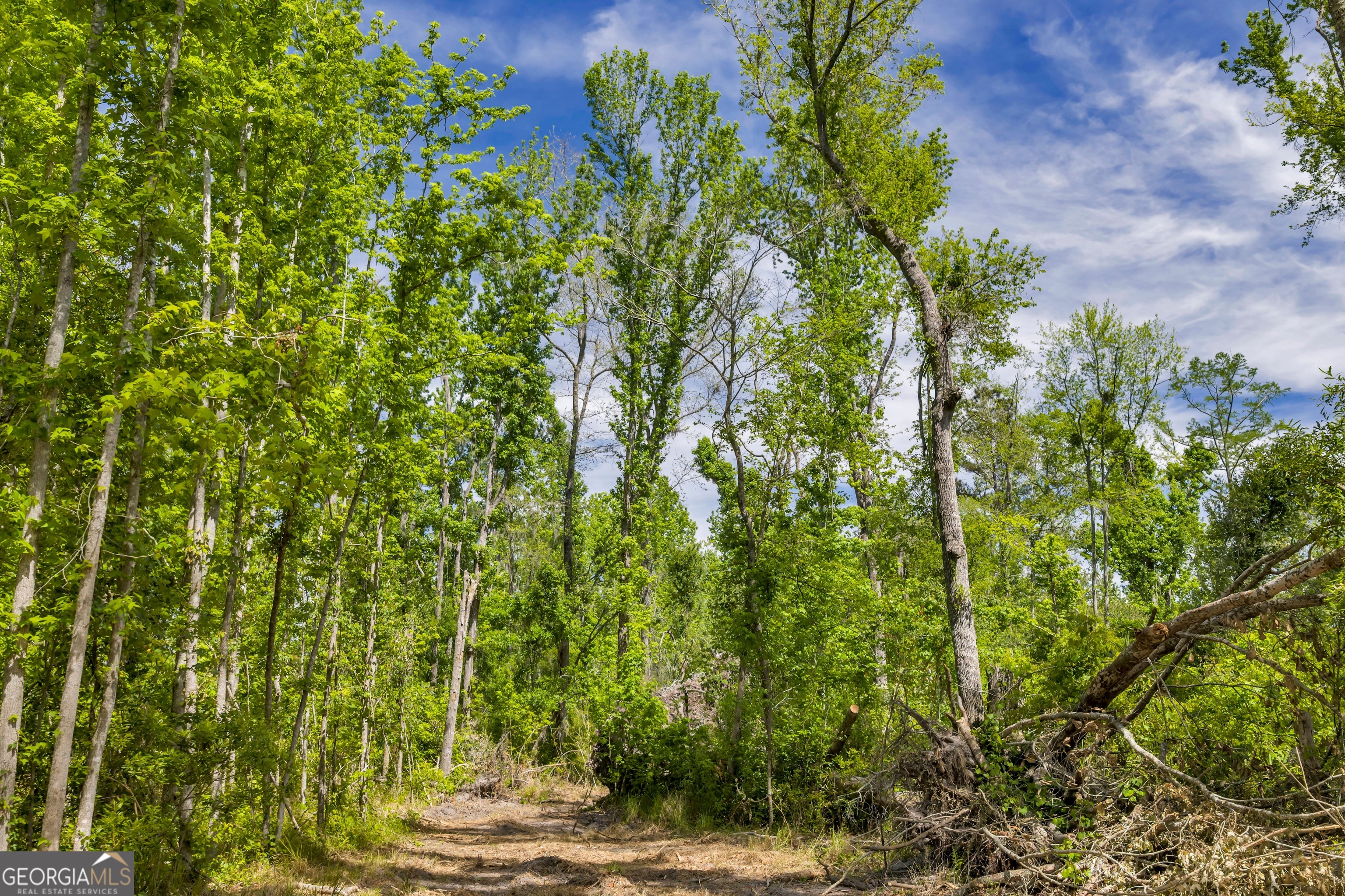 0 Twin Oaks Road Ray City, GA 31645 - Photo 12 of 33