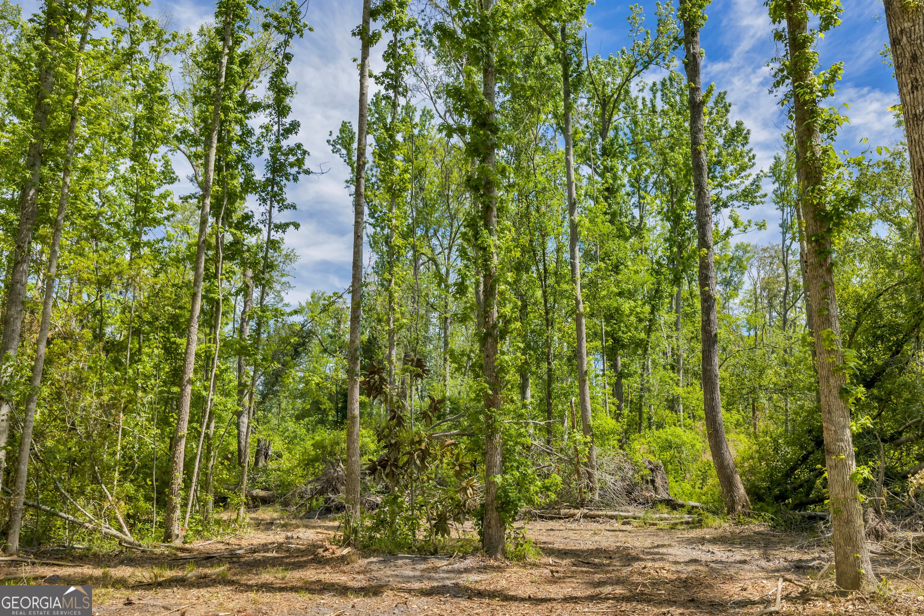 0 Twin Oaks Road Ray City, GA 31645 - Photo 13 of 33