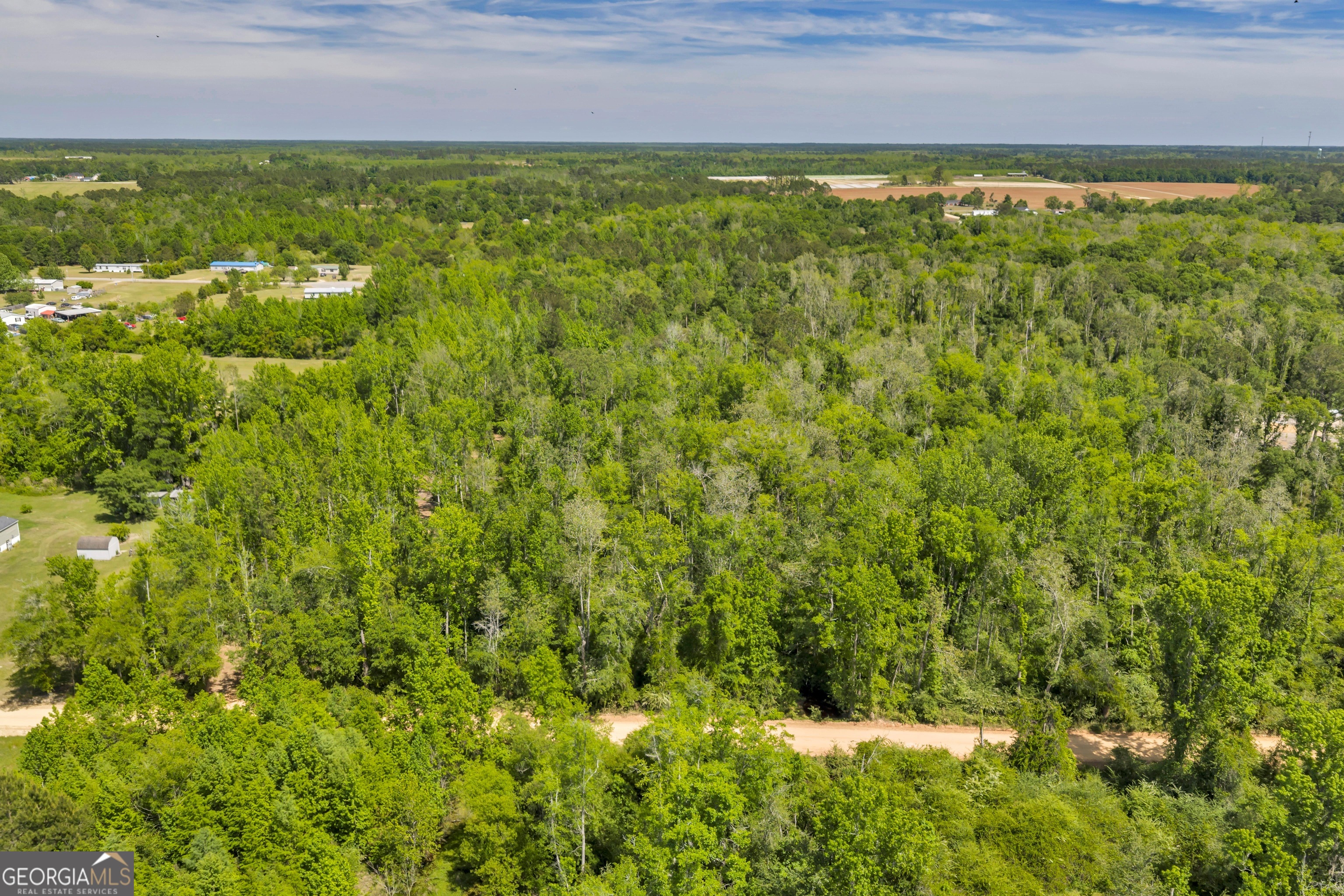 0 Twin Oaks Road Ray City, GA 31645 - Photo 14 of 33