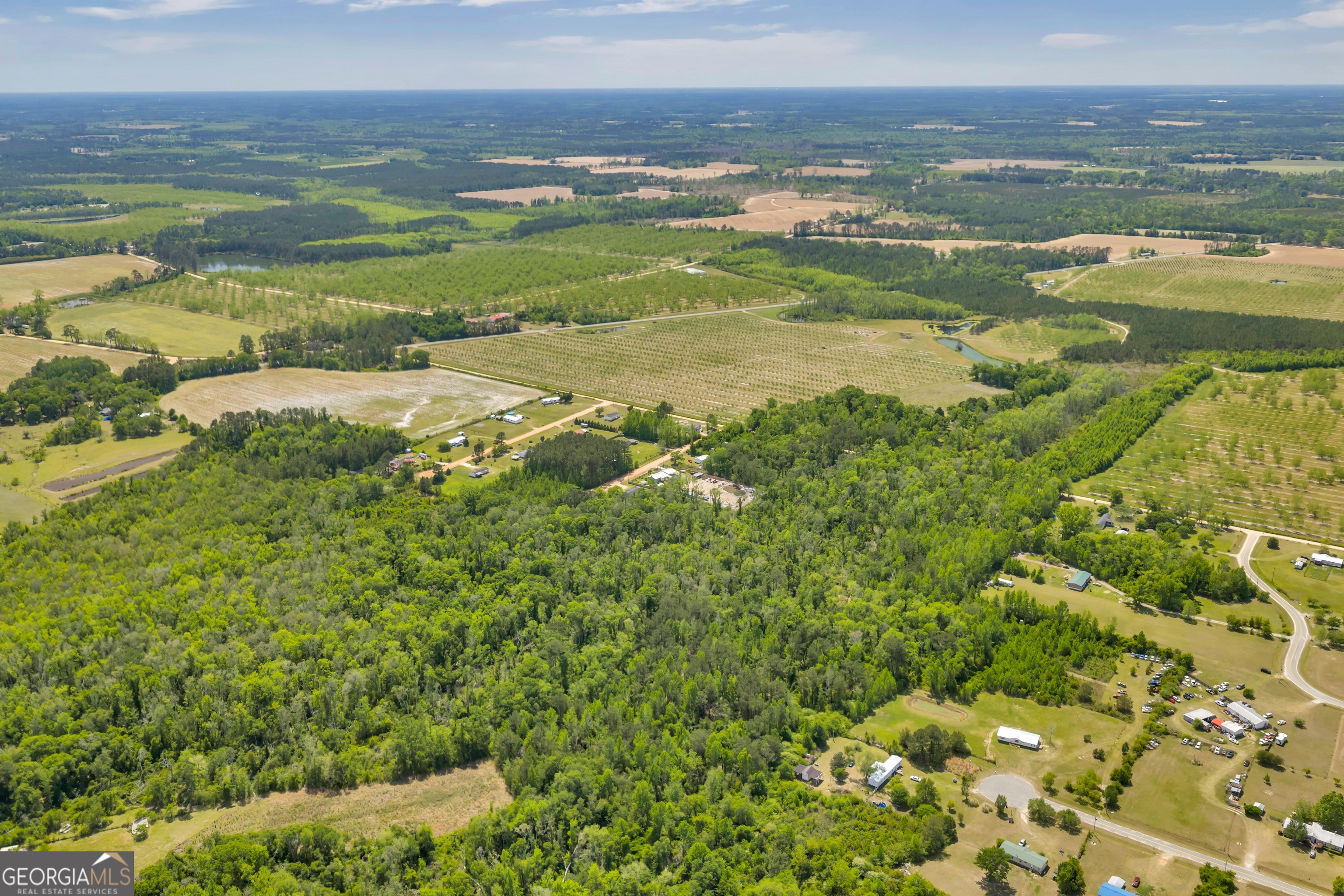0 Twin Oaks Road Ray City, GA 31645 - Photo 15 of 33