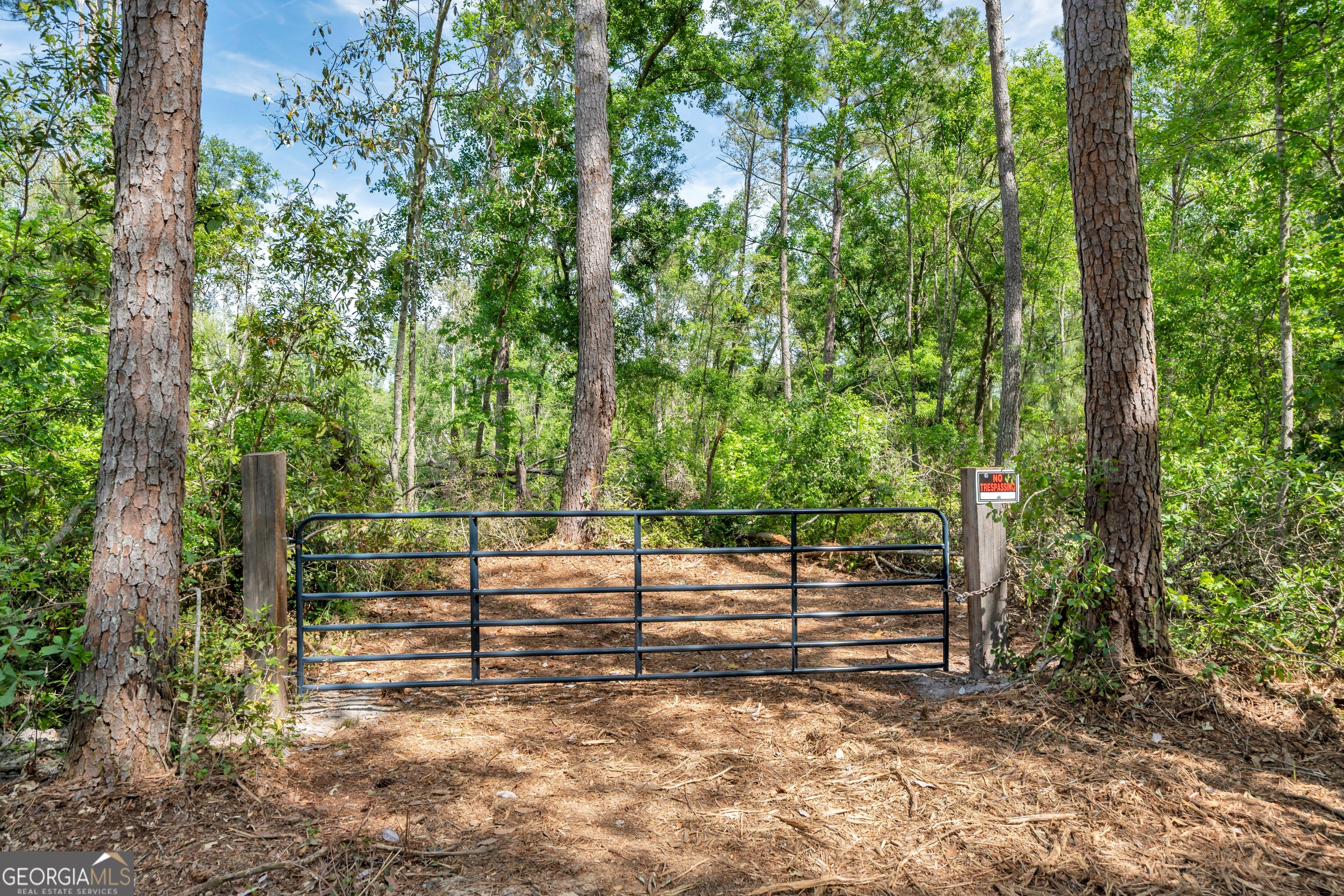 0 Twin Oaks Road Ray City, GA 31645 - Photo 17 of 33