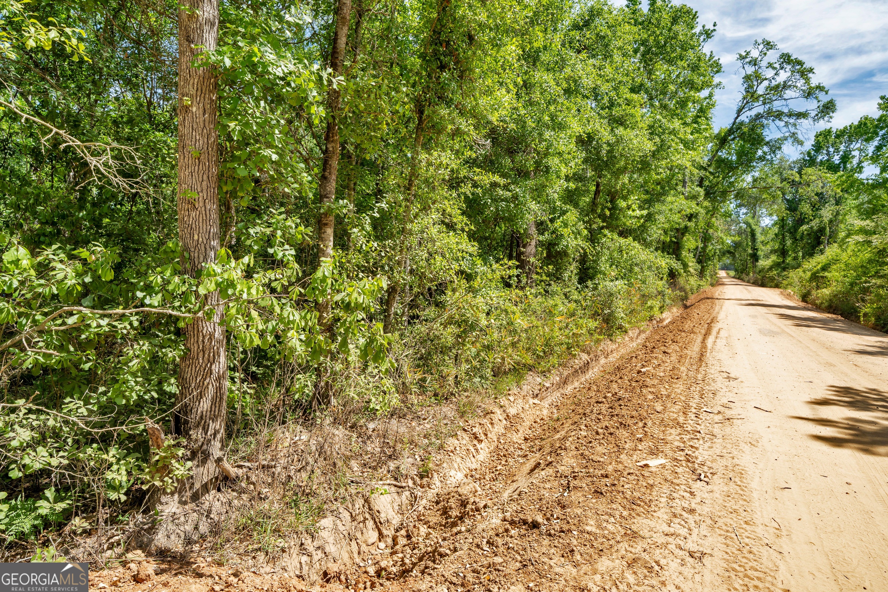 0 Twin Oaks Road Ray City, GA 31645 - Photo 19 of 33