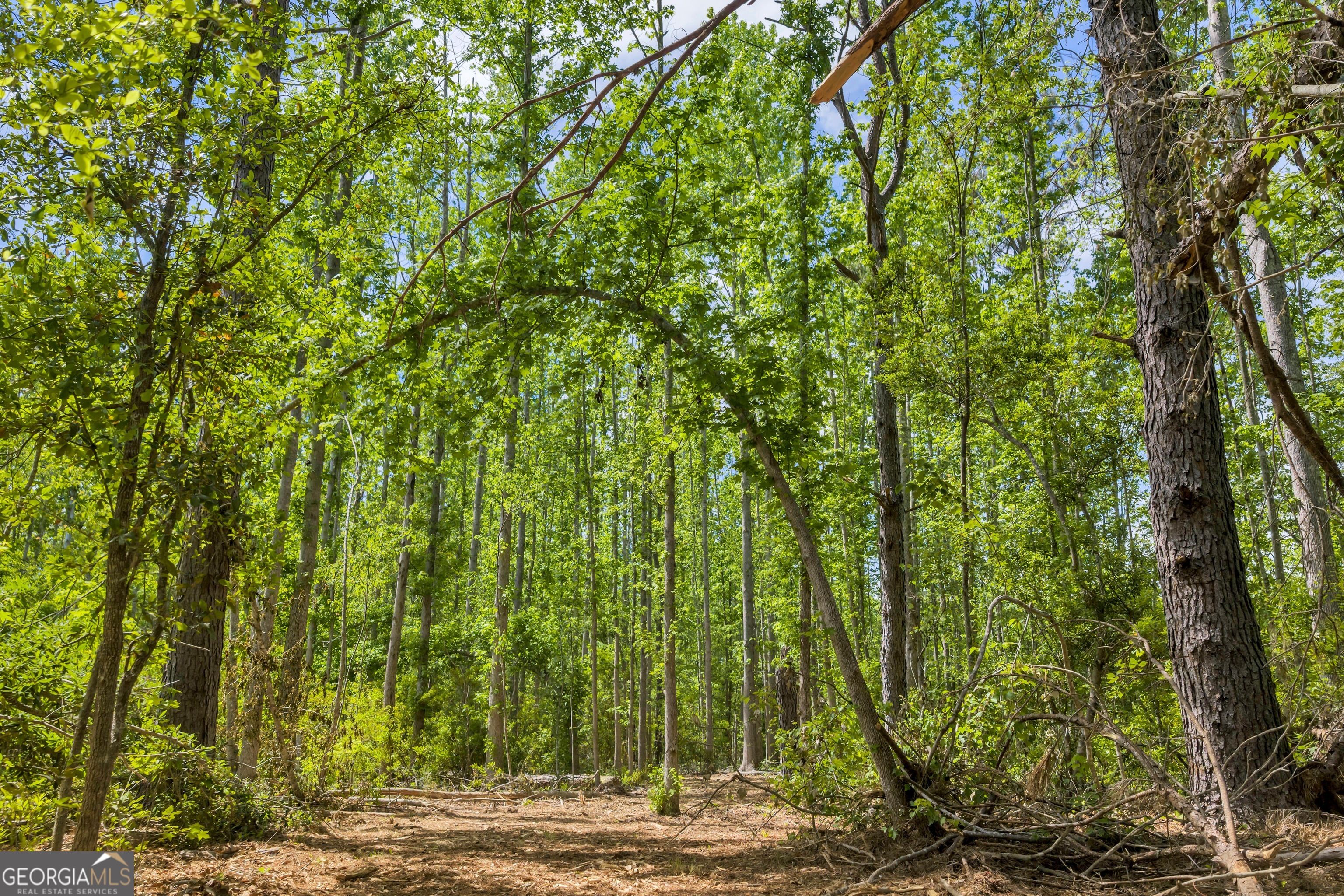 0 Twin Oaks Road Ray City, GA 31645 - Photo 20 of 33