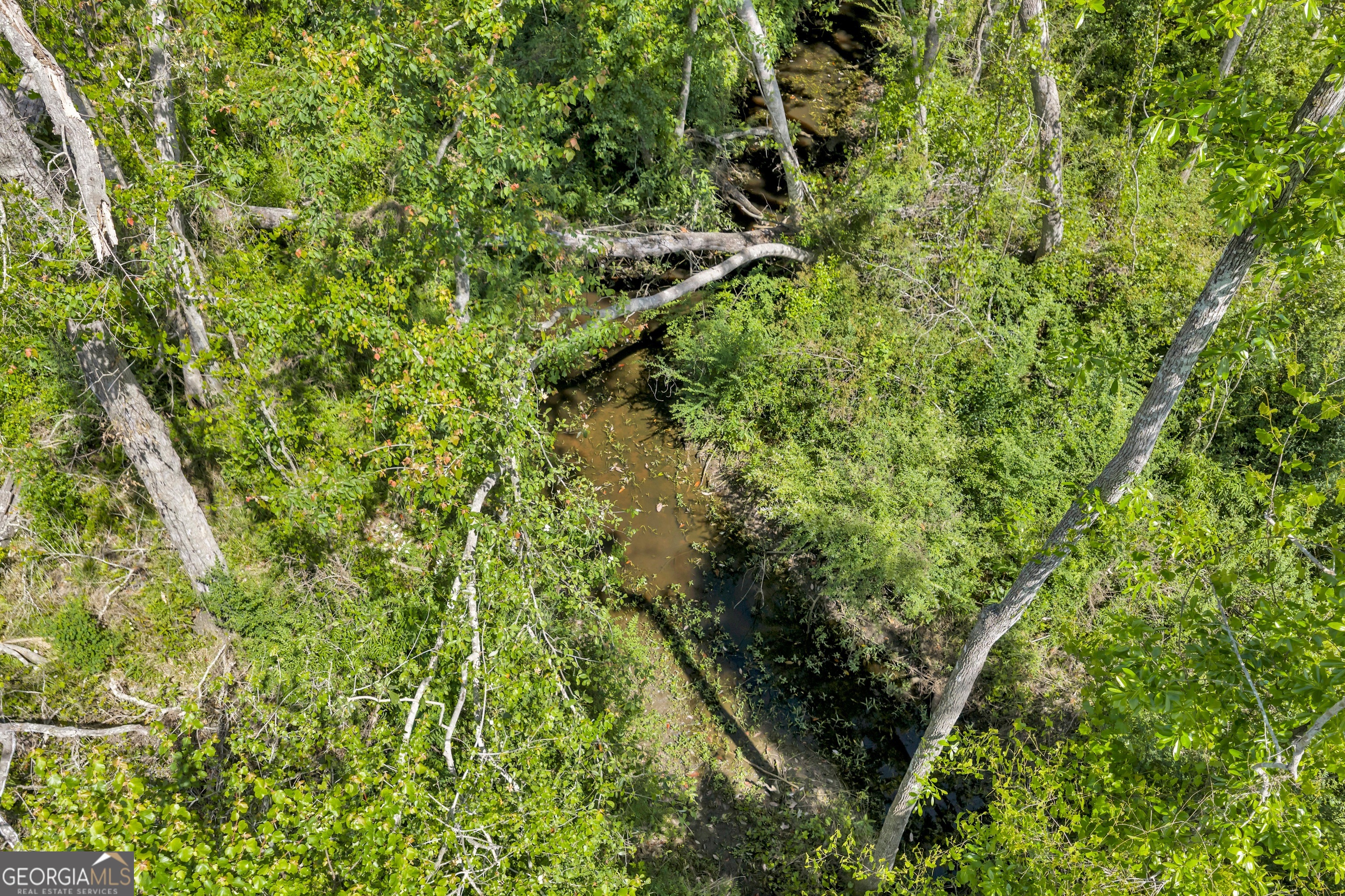 0 Twin Oaks Road Ray City, GA 31645 - Photo 2 of 33