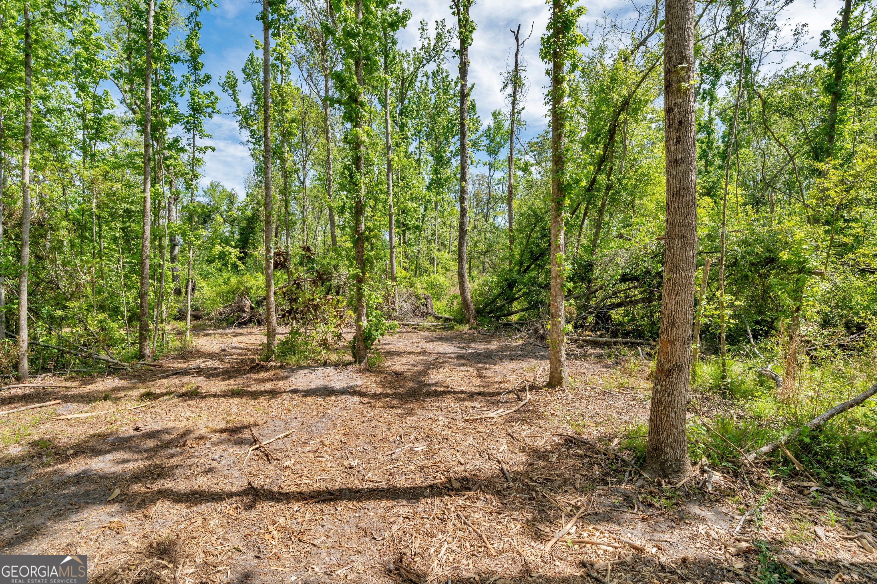 0 Twin Oaks Road Ray City, GA 31645 - Photo 21 of 33