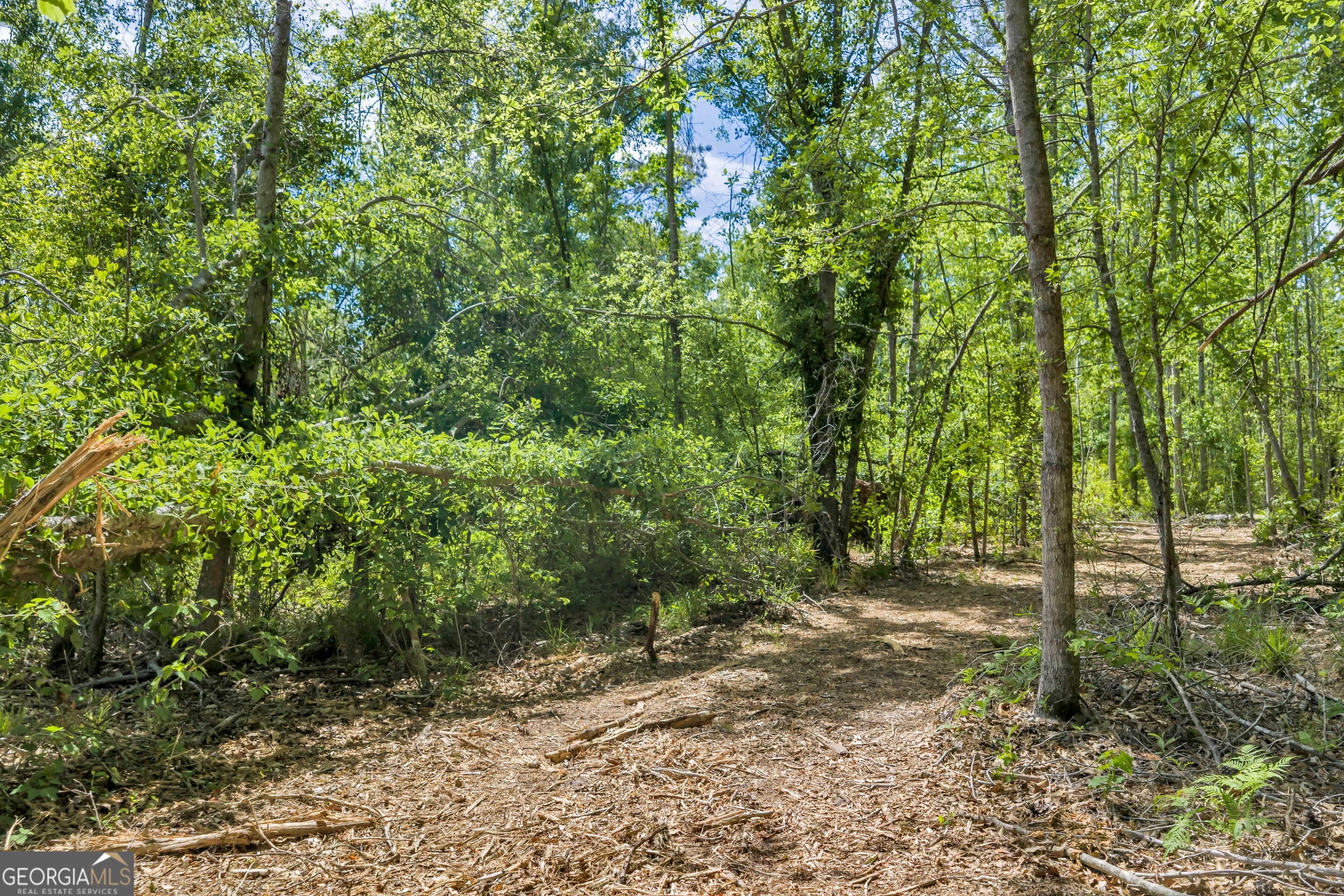 0 Twin Oaks Road Ray City, GA 31645 - Photo 22 of 33