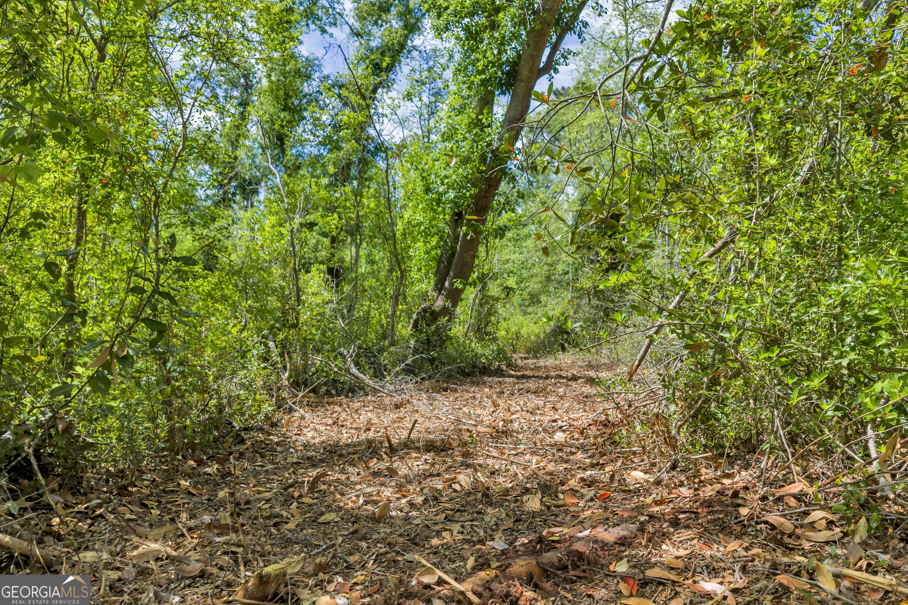 0 Twin Oaks Road Ray City, GA 31645 - Photo 23 of 33