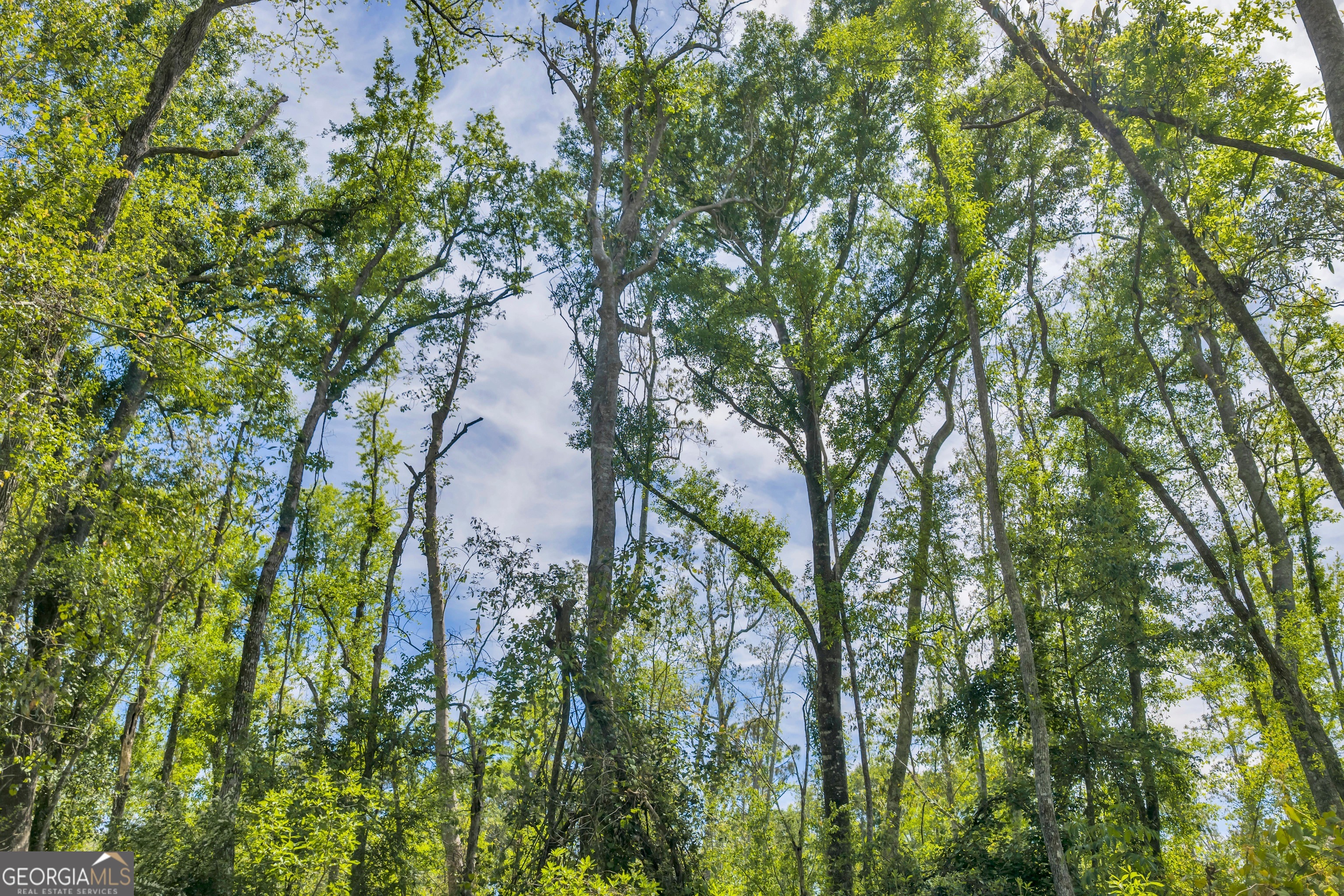 0 Twin Oaks Road Ray City, GA 31645 - Photo 24 of 33