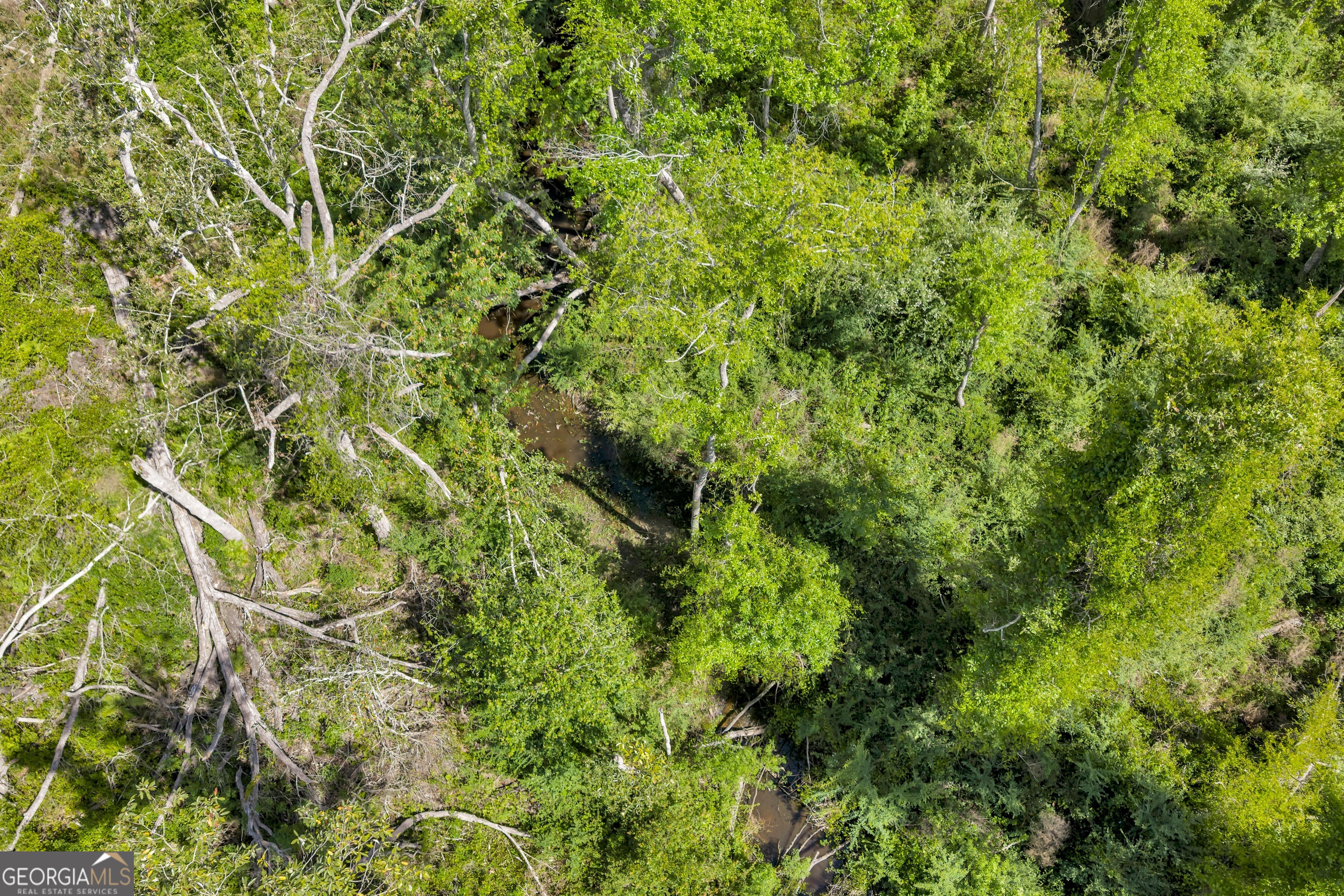 0 Twin Oaks Road Ray City, GA 31645 - Photo 25 of 33