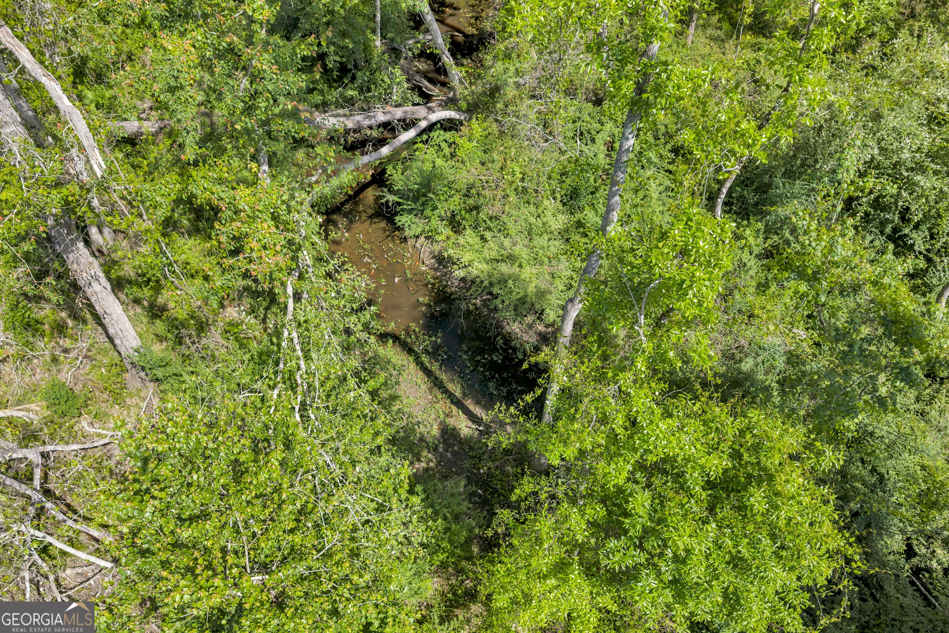 0 Twin Oaks Road Ray City, GA 31645 - Photo 26 of 33